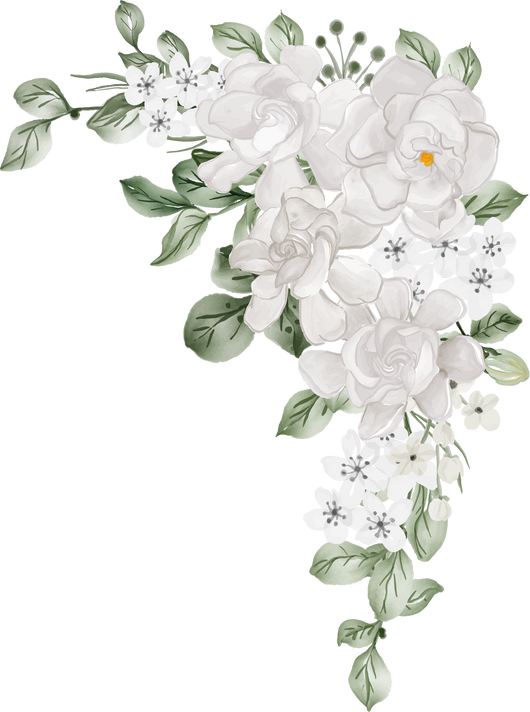 flower arrangement of Gardenia white watercolor illustration